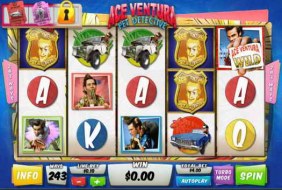 Ace Ventura  -  Playtech